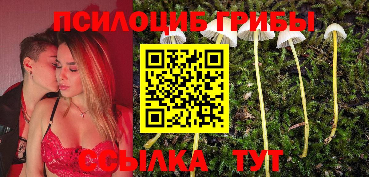 Кудымкар  магазин  наркотиков  Псилоцибиновые грибы ЛСД  Вход с VPN  Псилоцибиновые грибы Cubensis 